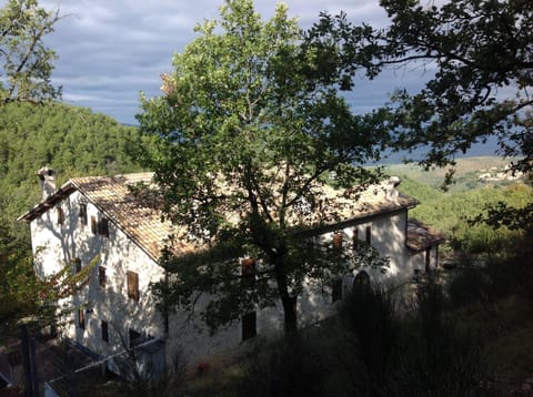 Property building, Nearby landmark, Facade/entrance, Spring, Day, Natural landscape, Summer, Decorative detail, Autumn, On site, Area and facilities