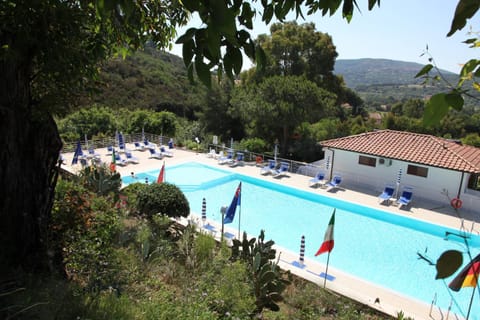 Day, Swimming pool, Swimming pool