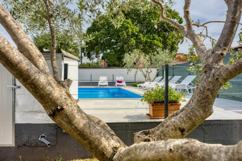 Patio, Garden, Swimming pool, sunbed