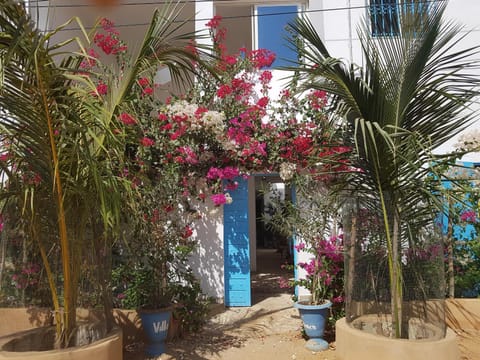 Property building, Facade/entrance, Day, Garden, Garden view