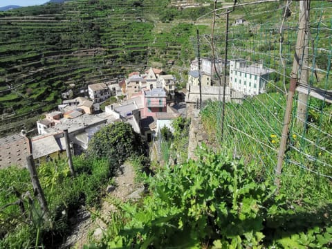 Sentieri Sul Mare Bed and Breakfast in Manarola