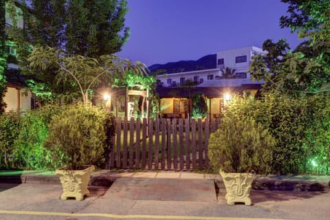Night, Garden, Garden view