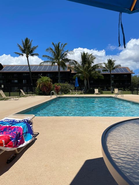 Pool view, Swimming pool, sunbed