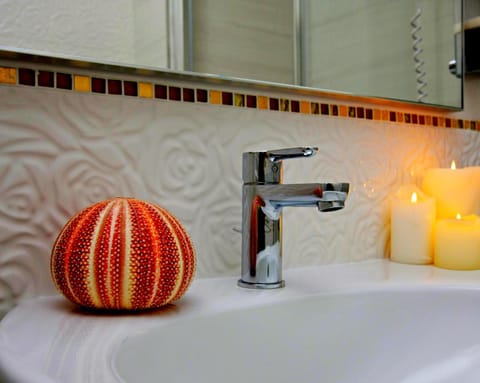 Shower, Toilet, Bathroom, Other, Decorative detail, Area and facilities