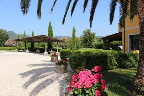 Patio, Restaurant/places to eat, Facade/entrance, Garden