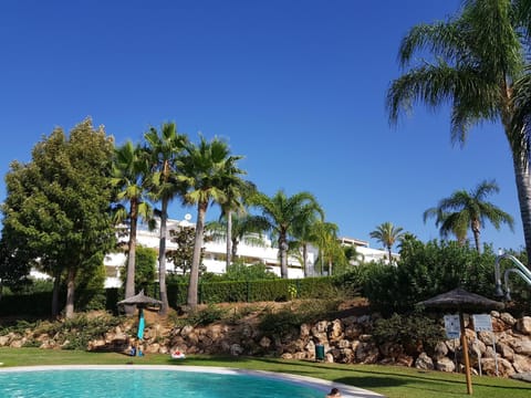 Natural landscape, Garden, On site, Swimming pool