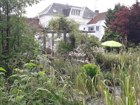 Property building, Natural landscape, Garden, Garden view
