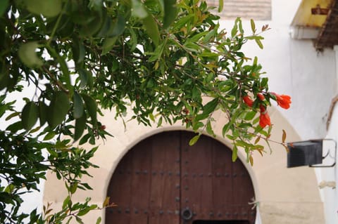 Patio, Place of worship