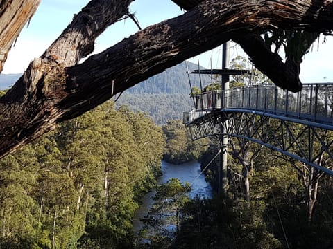 Day, Hiking, River view