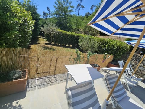 Orchidea House in Province of Massa and Carrara