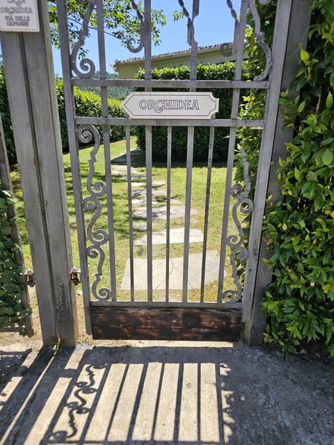 Orchidea House in Province of Massa and Carrara