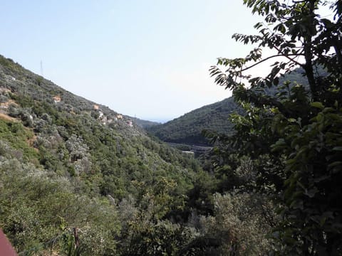 Garden, Balcony/Terrace, Sea view
