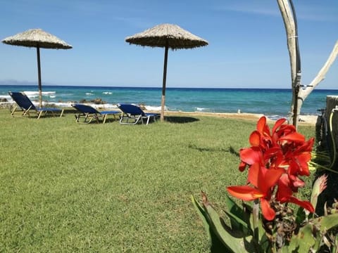 Beach, Sea view, sunbed