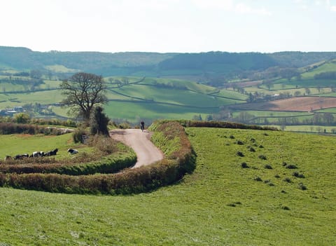 Nearby landmark, Natural landscape