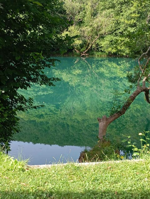Nearby landmark, Spring, Day, Natural landscape, River view