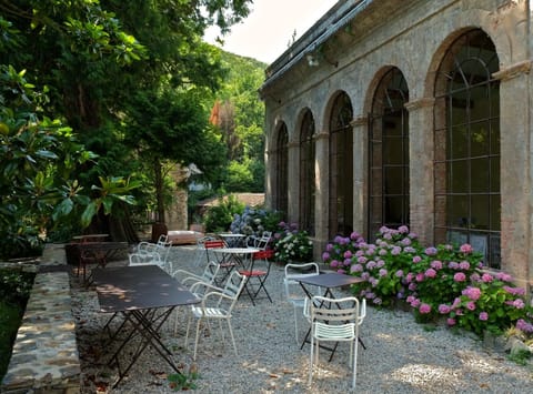 Patio, Breakfast