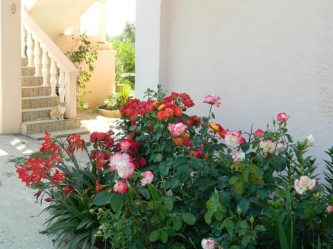Garden, Balcony/Terrace