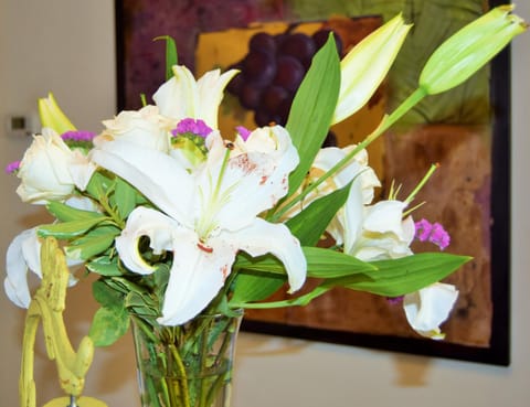 Vineyard Country Inn Inn in Saint Helena