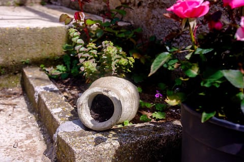 Spring, Day, Decorative detail, On site
