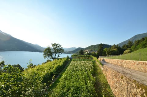 Neighbourhood, Natural landscape, Lake view