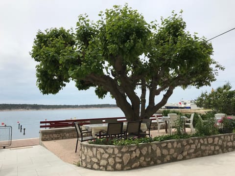Garden, Entertainment