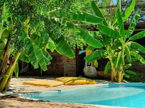 Garden, Pool view