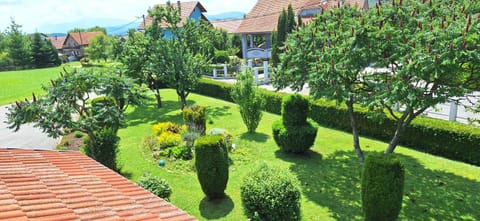 Apartman Marija Brajdic Apartment in Lika-Senj County