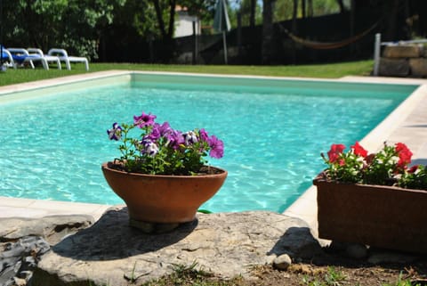 Decorative detail, Swimming pool, Swimming pool