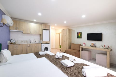 Bed, TV and multimedia, Kitchen or kitchenette, Photo of the whole room, Seating area, Bedroom, bunk bed, towels, wardrobe, washing machine, kitchen, air conditioner