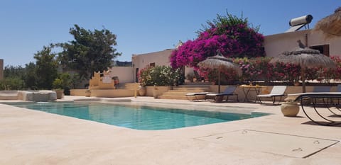 Patio, Swimming pool