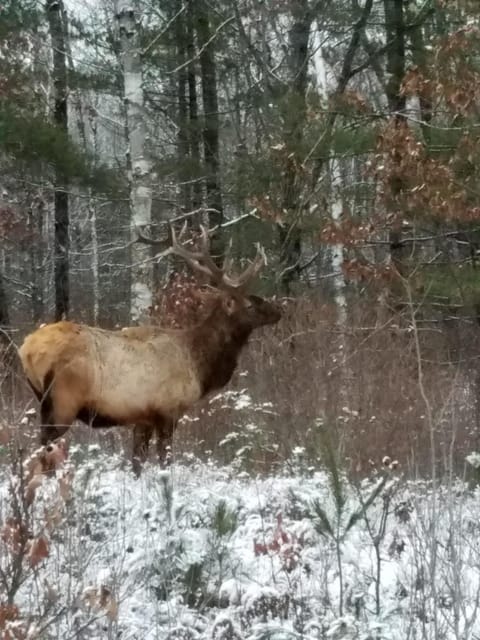 Lenroot Lodge Nature lodge in Wisconsin