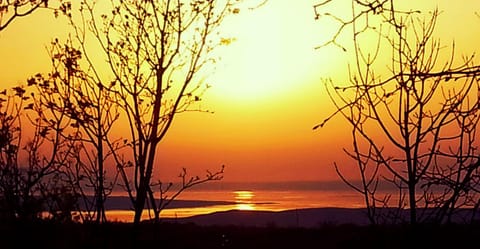 Property building, On site, Sunset