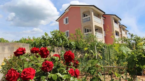 Property building, Summer