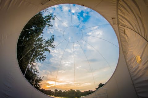 Péniche Espoir bulle Bed and Breakfast in Villeneuve-lès-Avignon