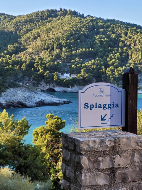 Natural landscape, Sea view