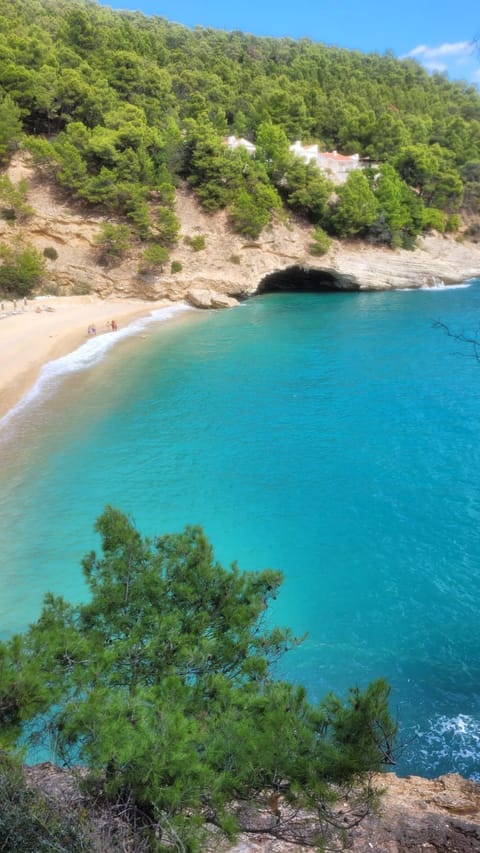 Natural landscape, Beach, Sea view