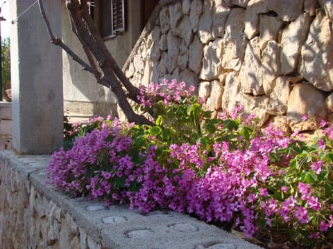 Apartment Puzak Apartment in Šibenik-Knin County, Croatia