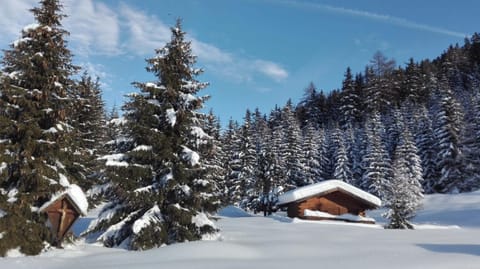 Apart Waldegger Apartment in Trentino-South Tyrol