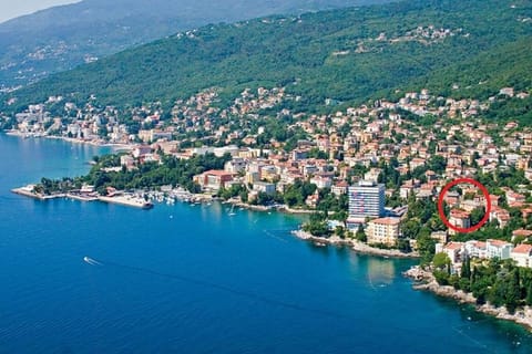 Bird's eye view, Location