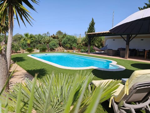 Garden, Garden view, Pool view, Swimming pool, sunbed