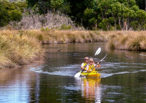 Saintys Creek Cottage House in South Bruny