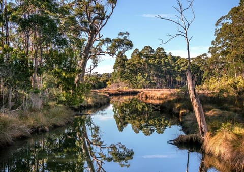 Saintys Creek Cottage House in South Bruny