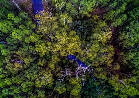 Saintys Creek Cottage House in South Bruny