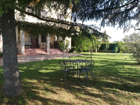Patio, Garden