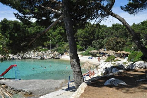 Apartments Hajo Apartment in Supetarska Draga