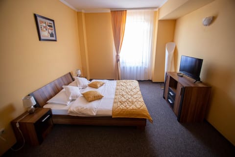 Hotel Alexandra Hotel in Timisoara