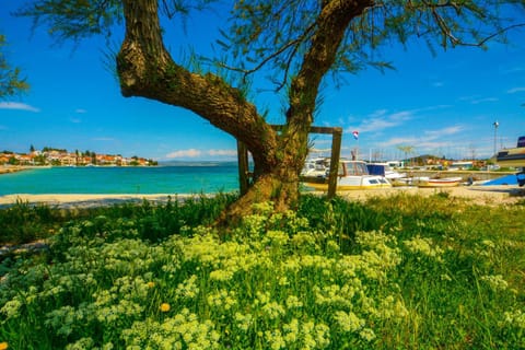 Natural landscape, Hiking