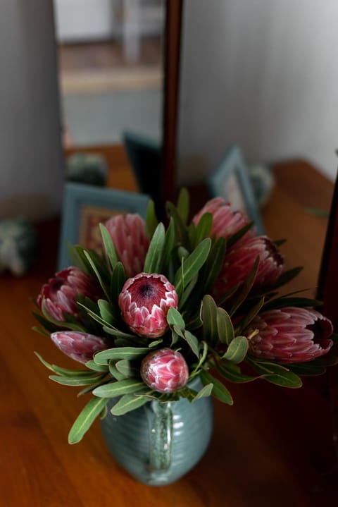 Belfield Wines and Farm Cottages Farm Stay in Western Cape