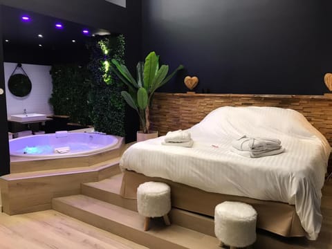 Bed, Hot Tub, Photo of the whole room