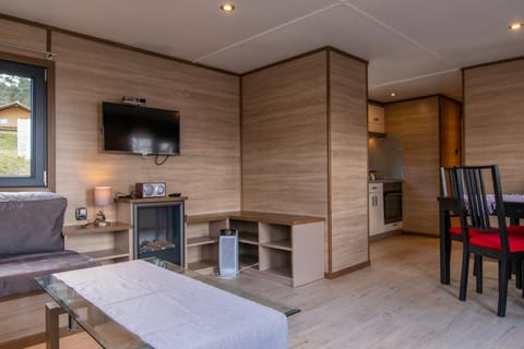 TV and multimedia, Kitchen or kitchenette, Living room, Photo of the whole room, Seating area, Dining area, flat iron, kitchen